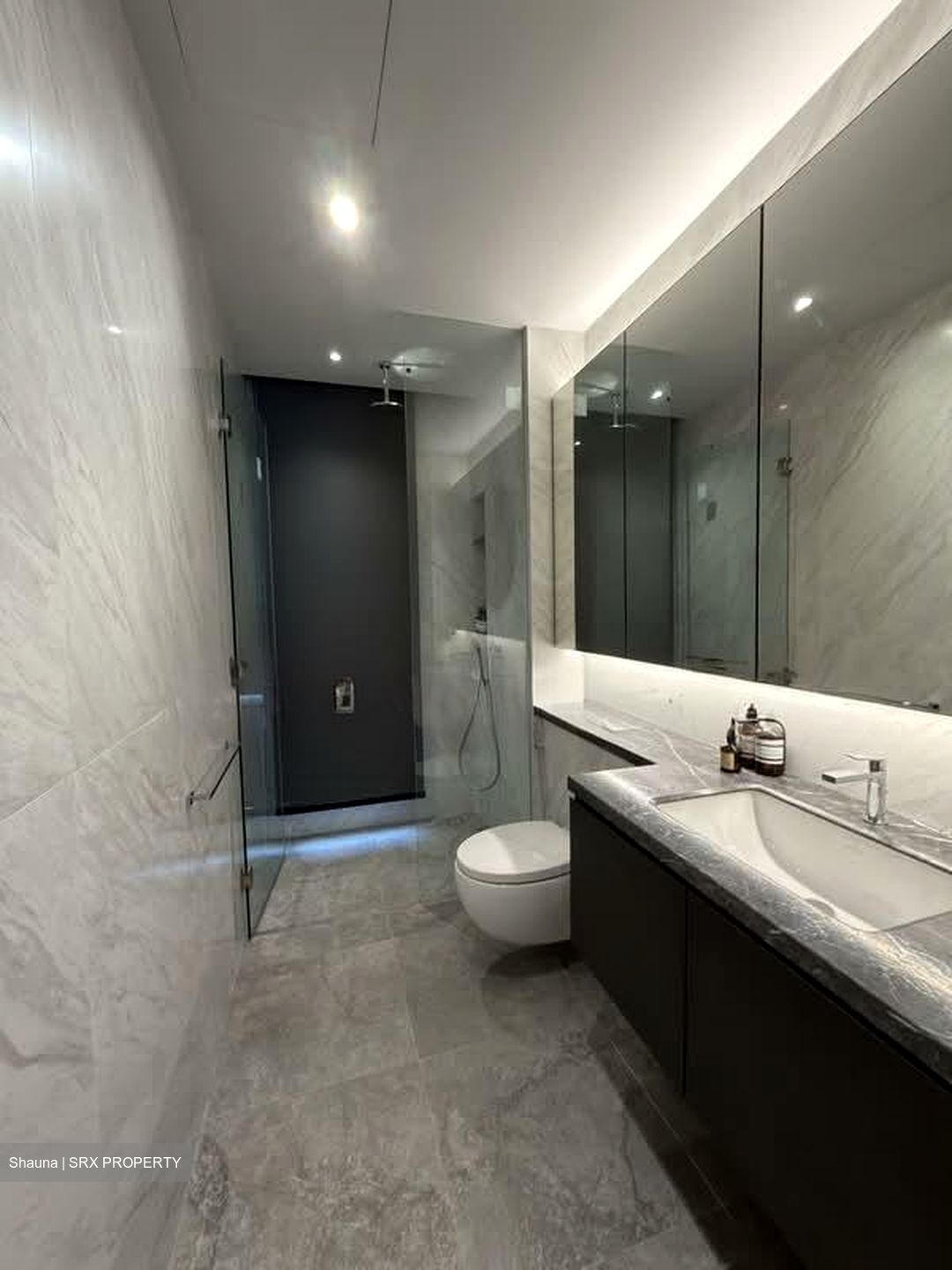 Shrewsbury Road (D11), Terrace #533917061